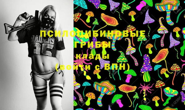мдпв Кулебаки