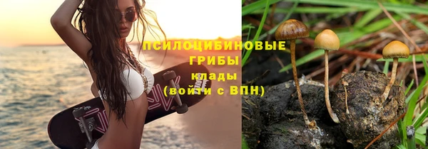 мдпв Кулебаки