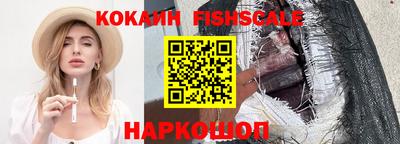 дмт Гай