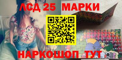 дмт Гай