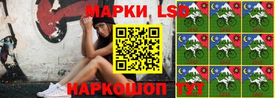 дмт Гай
