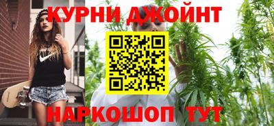 дмт Гай