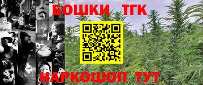 дмт Гай